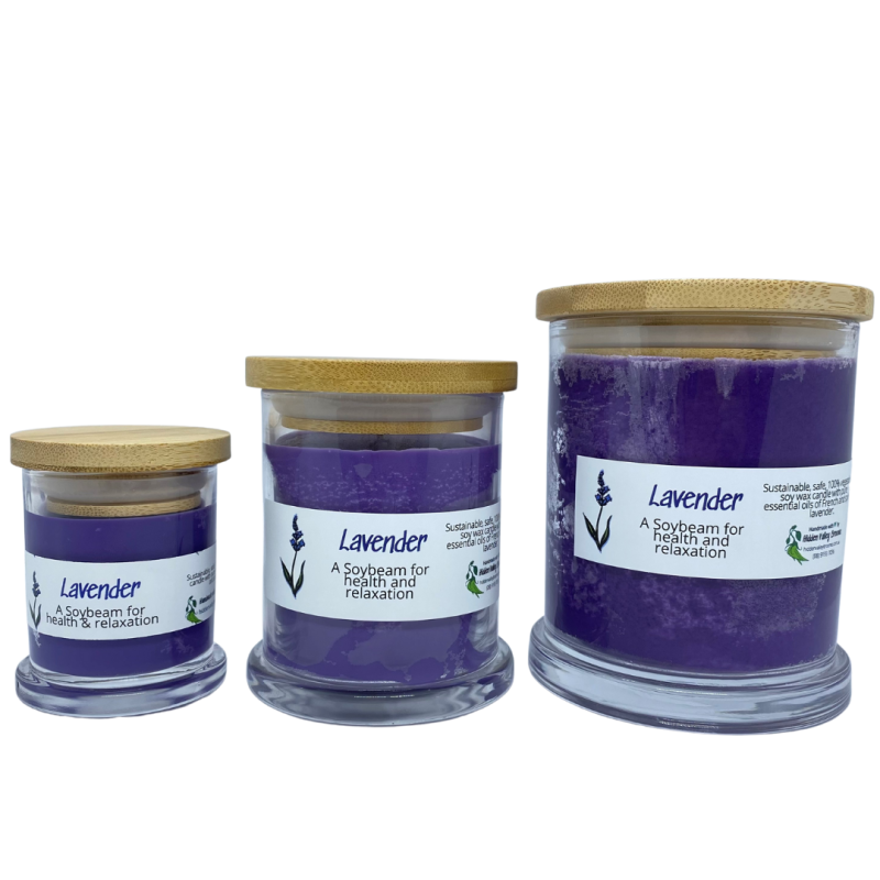 https://www.hiddenvalleybroome.com.au/cdn/shop/products/lavender_59b91fcf-be7b-4cb8-bb9e-1d4f6215a7e7_1024x1024.png?v=1644997106